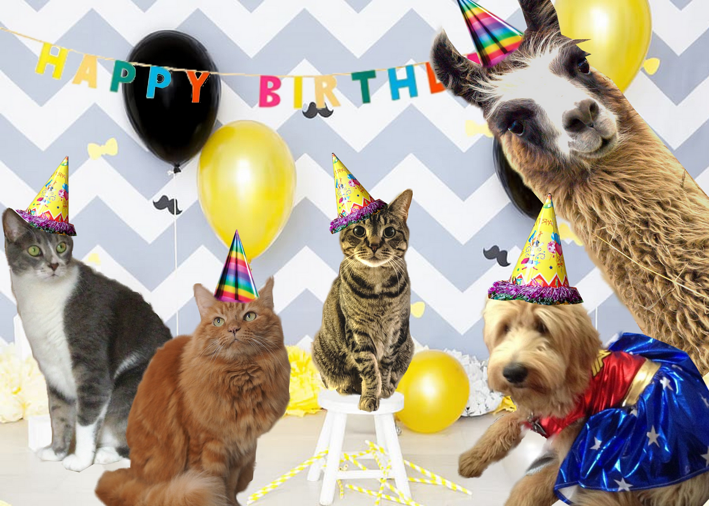 animals wearing party hats and having a birthday party